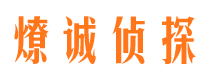 上甘岭市调查公司